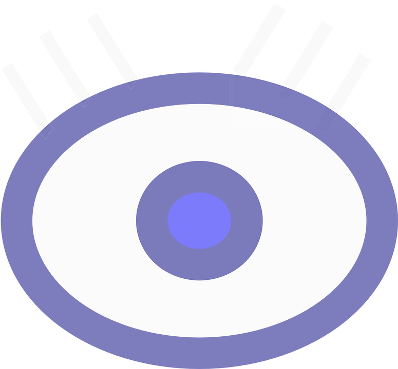 Eye Vision Look Eyesight Sight Iris Icon Eyeball - Circle Clipart (775x720), Png Download