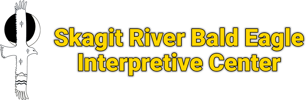 Bald Eagle Interpretive Center - Orange Clipart (1000x324), Png Download