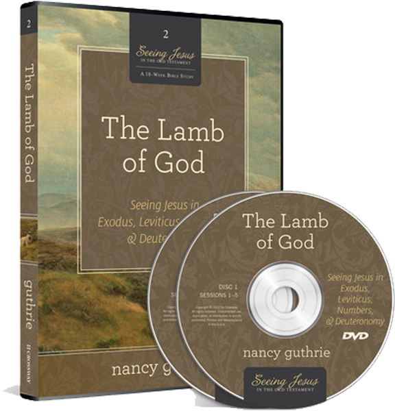 Lamb Of God Dvd - Cd Clipart (576x600), Png Download