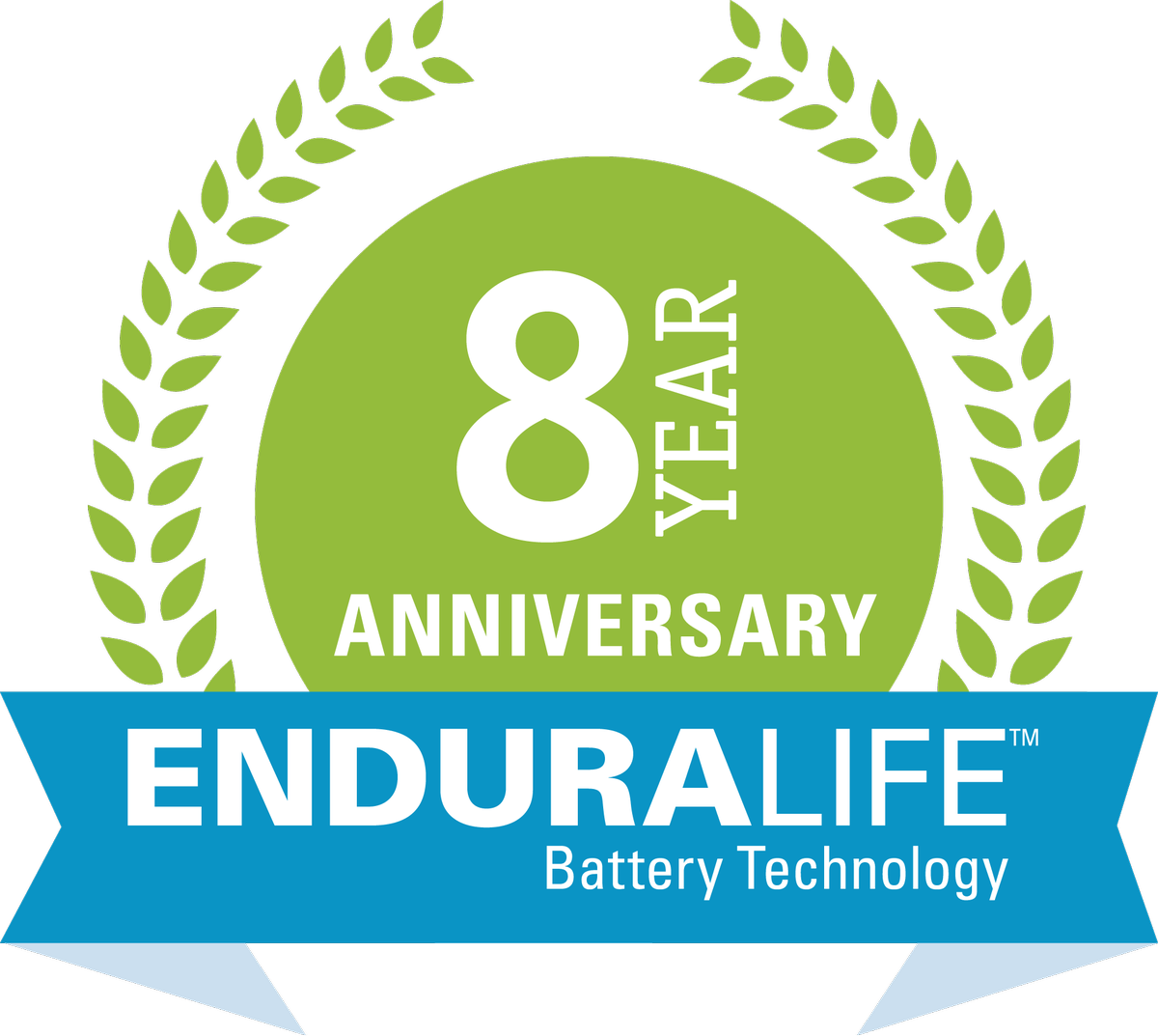 Boston Scientific Eu - 60th Year Logo Png Clipart (1200x1073), Png Download