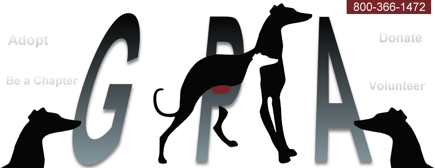 Dogs - Greyhound Pets Of America Clipart (896x347), Png Download