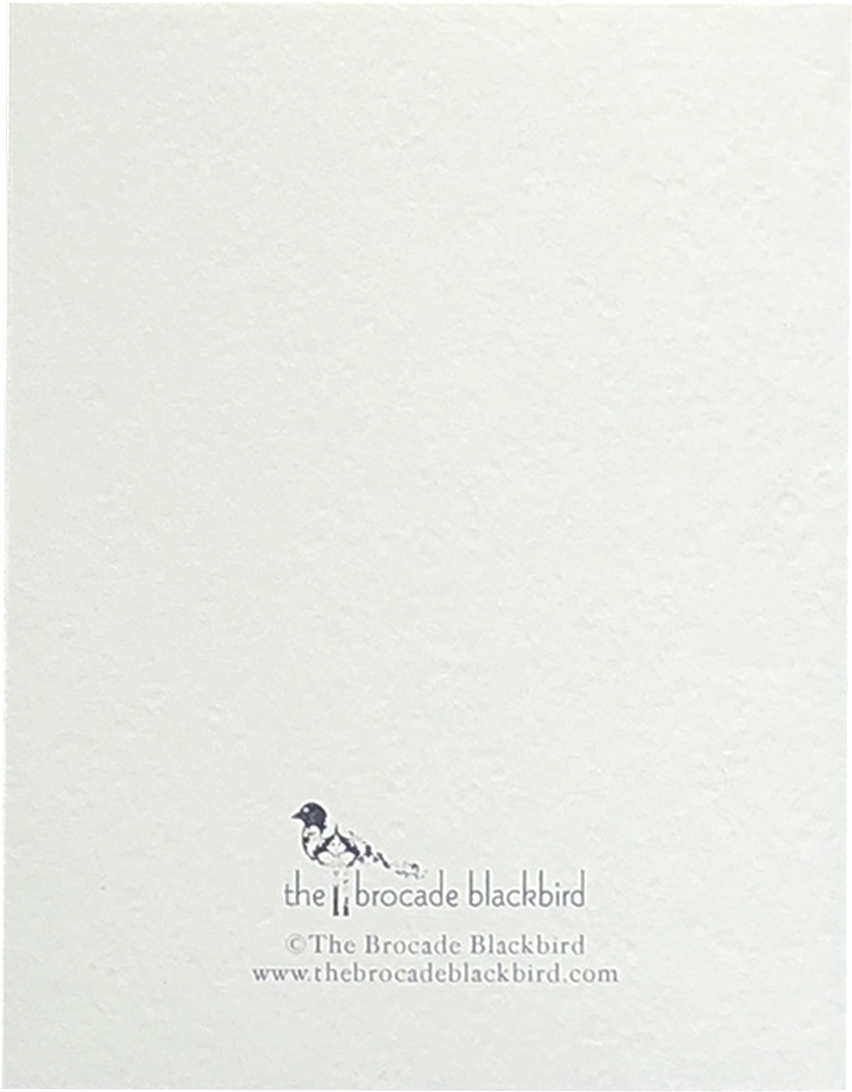 Paper Clipart (1500x1500), Png Download