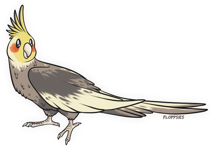 I Drew A Birb - Cockatiel Clipart (766x542), Png Download