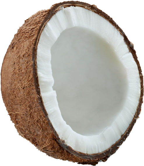 Download High Resolution Png - Wood Clipart (866x650), Png Download