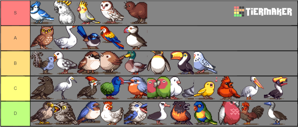 Birds - Cartoon Clipart (1020x534), Png Download