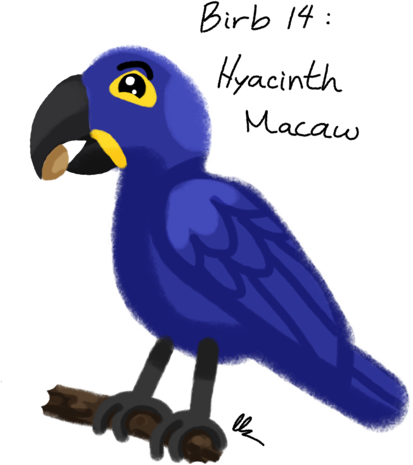 Drawing , Png Download - Parrot Clipart (840x946), Png Download