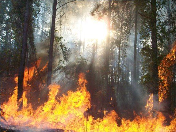 Fuel Science - Landscape Fire Clipart (585x585), Png Download