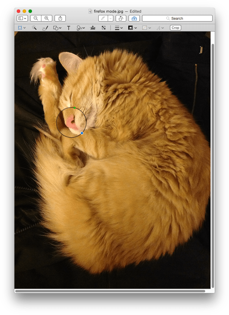You Can Zoom In/out Or Make The Loupe Larger Using - Cat Yawns Clipart (795x1081), Png Download