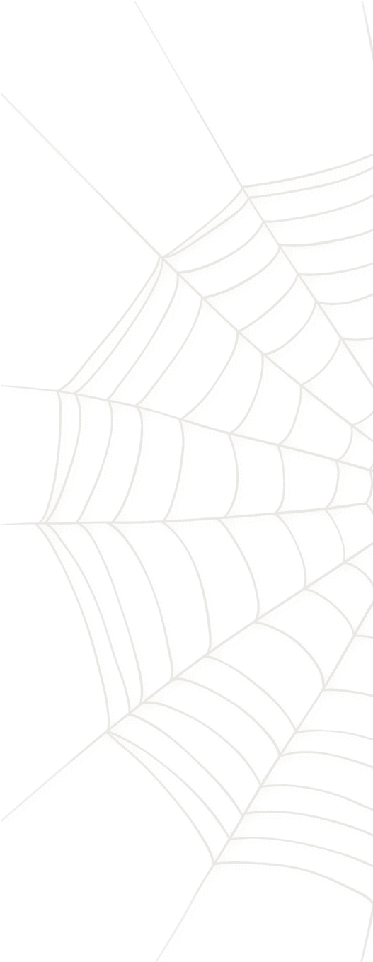 Spider Web Small Spider Web Large - Architecture Clipart (596x1375), Png Download
