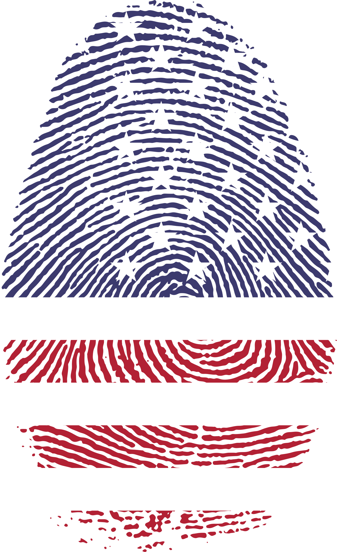 This Free Icons Png Design Of America Fingerprint - Fibonacci Sequence In Fingerprints Clipart (1400x2292), Png Download