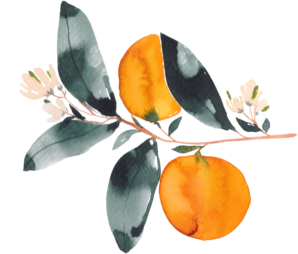 Hand Drawn Orange Watercolor Transparent With Flowers - Orange Watercolor Flower Transparent Clipart (998x850), Png Download