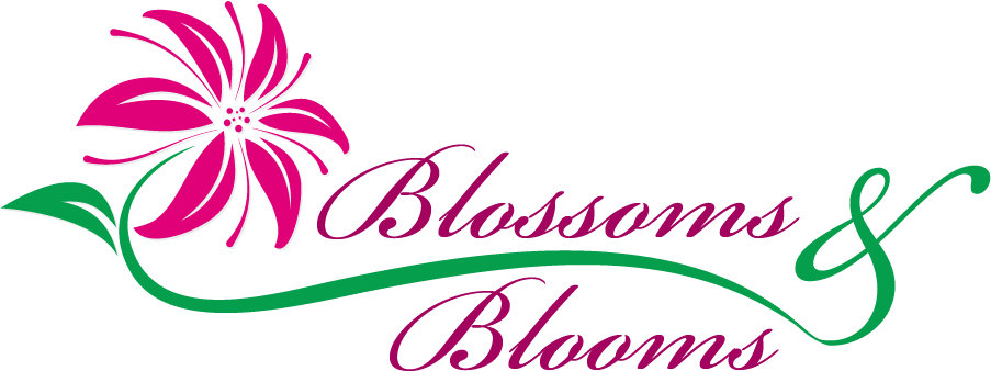 Blossoms & Blooms Florist Clipart (902x345), Png Download