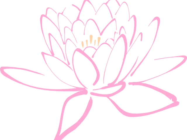 Peach Flower Clipart Lotus - Purple Lotus Flower Clipart - Png Download (640x480), Png Download