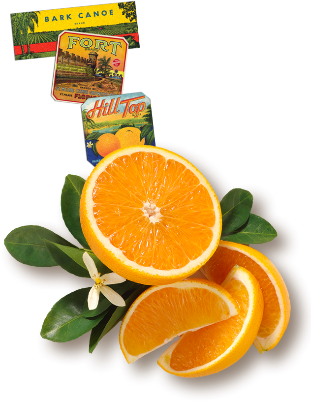Florida's Natural Orange Juice The Best Orange Juice - Florida's Natural Growers Clipart (631x1020), Png Download