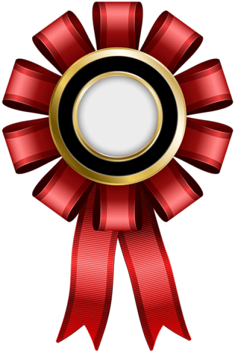 Free Png Seal Red Png Images Transparent - Ribbon Vector Png Gold And Red Clipart (480x720), Png Download
