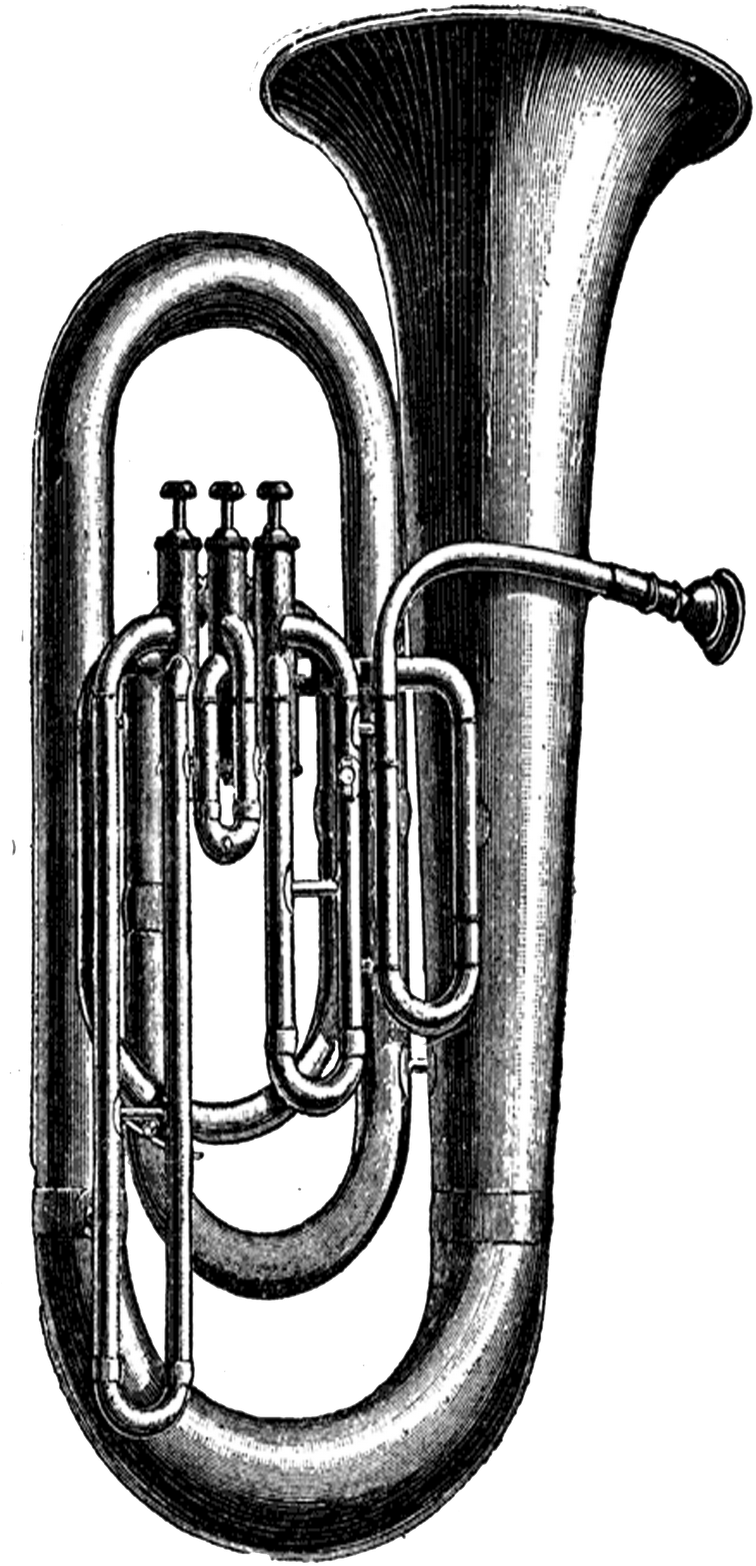 Buscar Con Google - Tuba Clip Art - Png Download (767x1600), Png Download