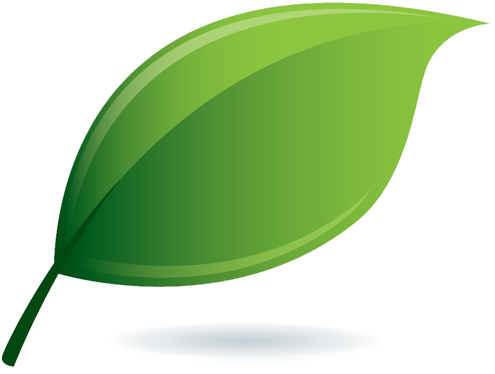 Estatements - Illustration Clipart (995x752), Png Download