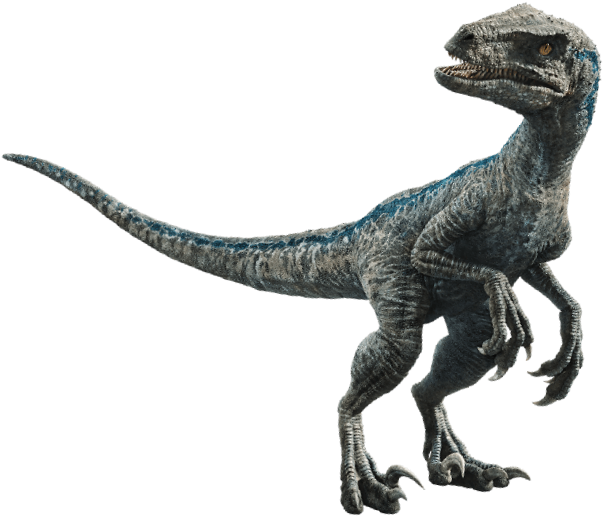 Jurassic Park Wiki - Jurassic World Blue Clipart (674x541), Png Download