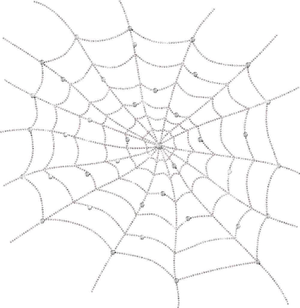 1000 X 1027 8 - Spider Web Clipart (1000x1027), Png Download