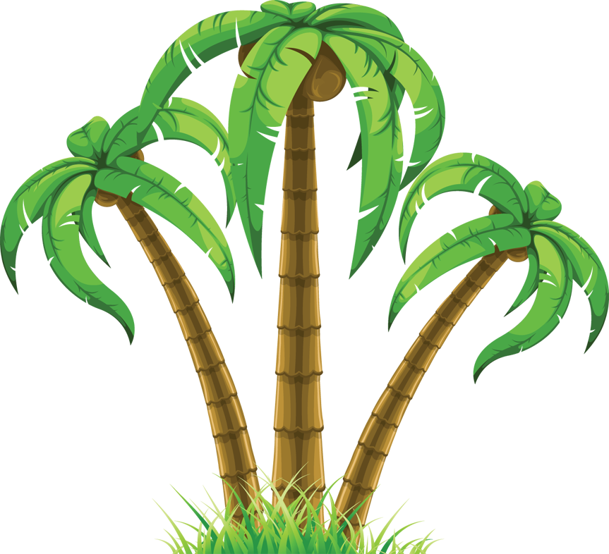 Palm Tree Art Tropical Palm Trees Clip Art Clip Art - Palm Trees Clip Art Png Transparent Png (863x786), Png Download
