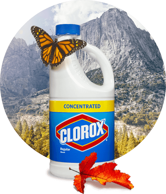 A Bottle Of Bleach - Clorox Clipart (552x646), Png Download