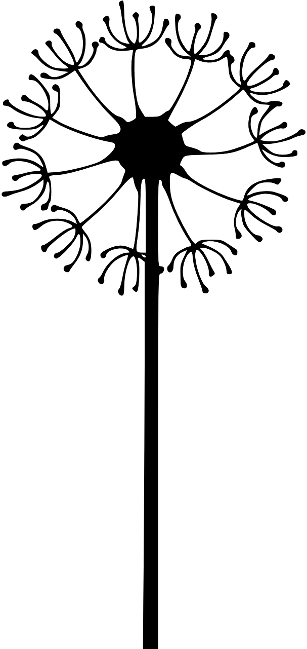 Diente De León Dibujo Clipart (640x1280), Png Download