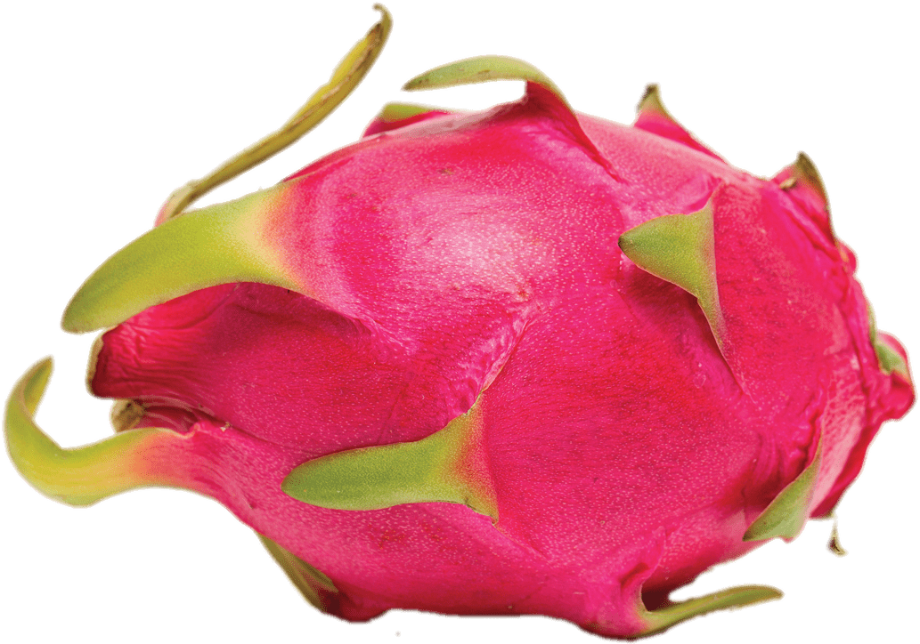 Whole Dragon Fruit Png - Chabutra Fruit In English Clipart (1403x936), Png Download