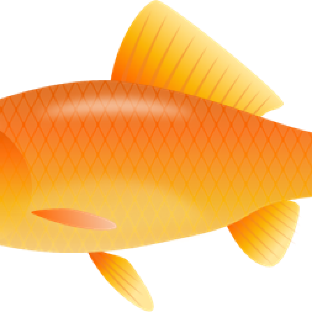 Image Free Download Balloon Hatenylo Com The Top Best - Fish Clipart (1024x1024), Png Download