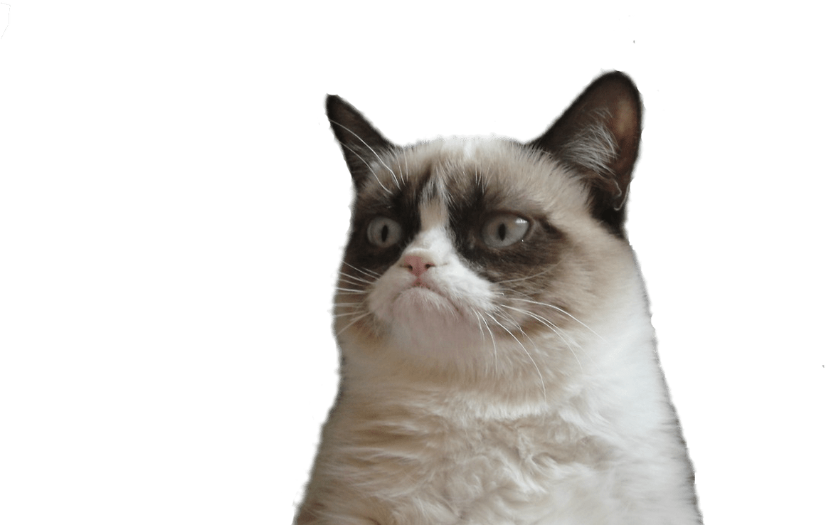 Grumpy Cat Face Vector Freeuse Techflourish Collections - Sticker Telegram Grumpy Cat Clipart (1368x855), Png Download