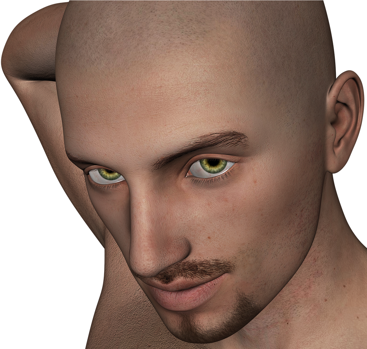 Bald Head Png Clipart (774x720), Png Download