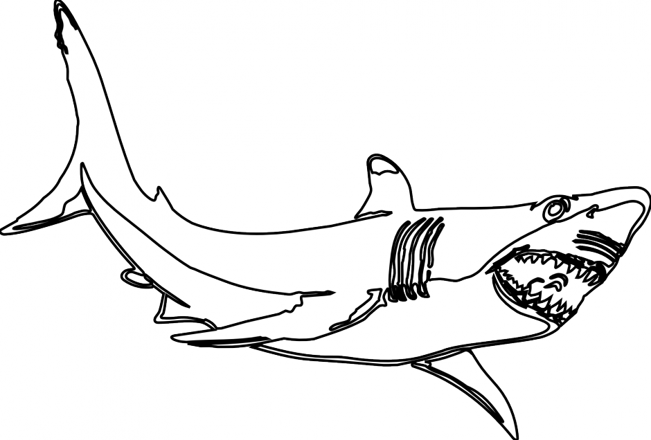 Bull Shark Clipart Realistic Shark - Clipart Black And White Shark - Png Download (940x636), Png Download