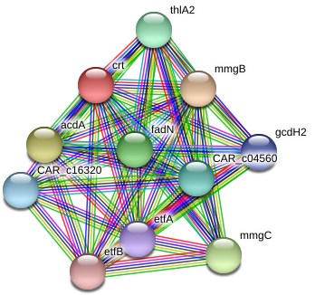 Circle Clipart (975x362), Png Download