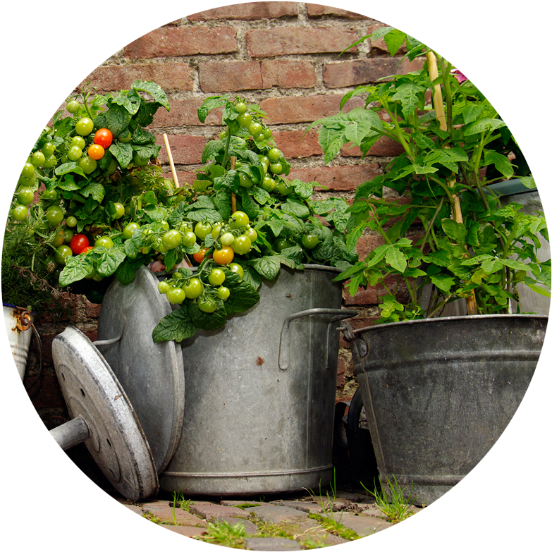 Arch Clipart (800x800), Png Download