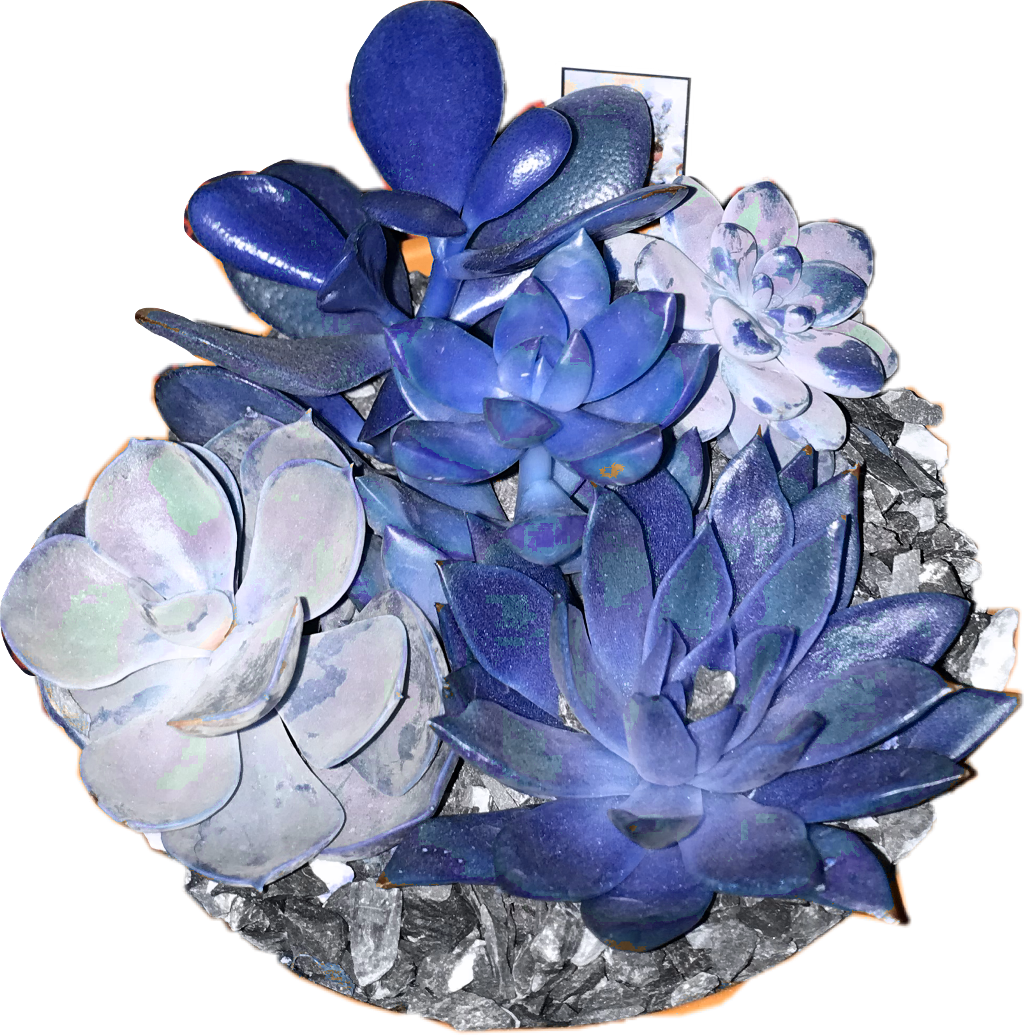 #cactus #blue #bluecactus #colors #dark #blueaesthetic - Dark Blue Aesthetic Png Clipart (1024x1035), Png Download