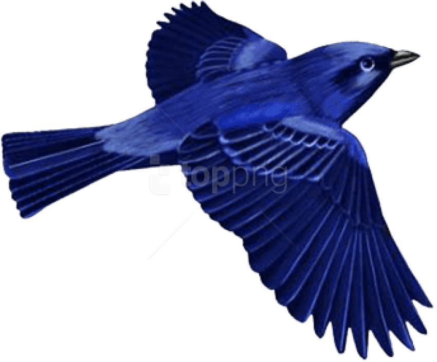 Free Png Download Dark Blue Bird Clip-art Png Images - Dark Blue Png Transparent Png (850x705), Png Download