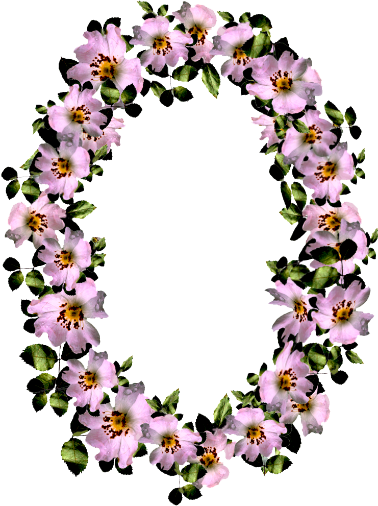 Berbatasan Bunga Png Pic - Molduras Ovais Com Flores Clipart (967x1052), Png Download