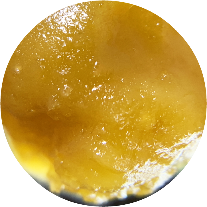 Home - Amber Clipart (800x800), Png Download