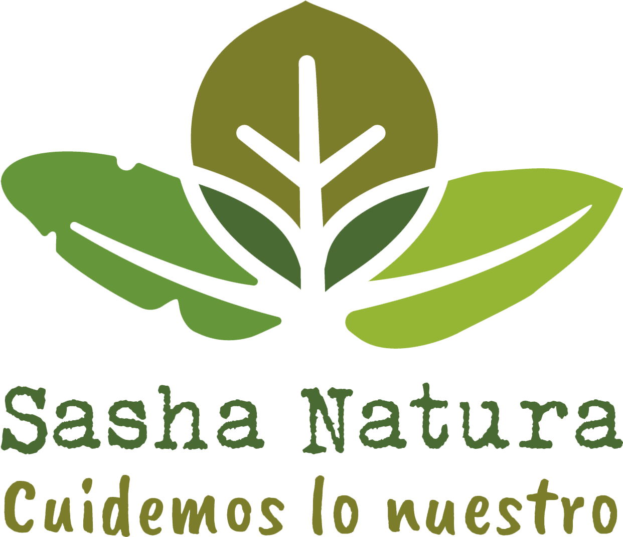 Sasha Natura - Human Action Clipart (1241x1111), Png Download