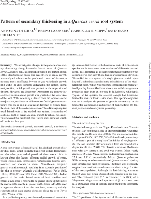 Pdf - Untitled, Tailpiece, Pg. 27, In The Book Dingo By Octave Clipart (600x776), Png Download