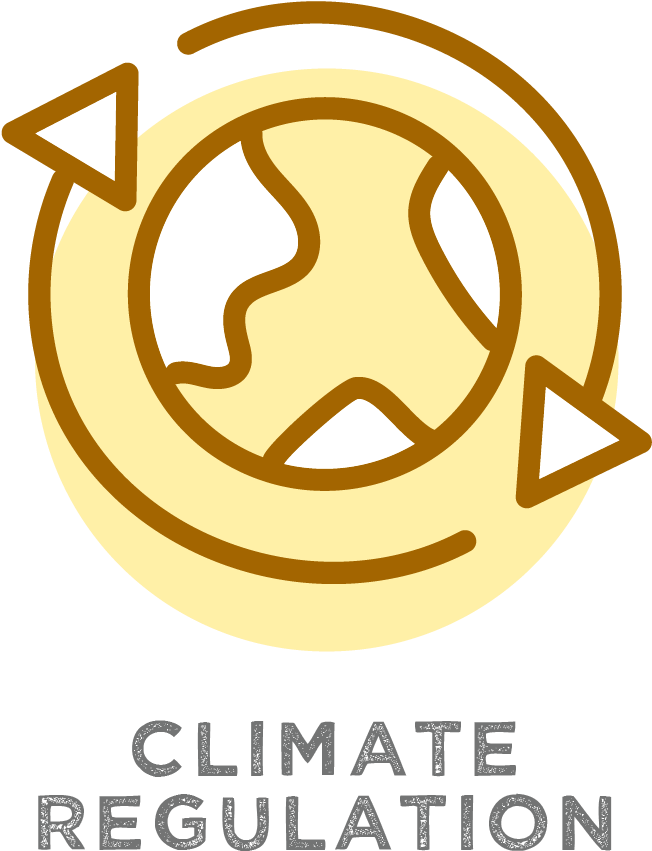 Plant Trees For Climate Clipart (651x863), Png Download