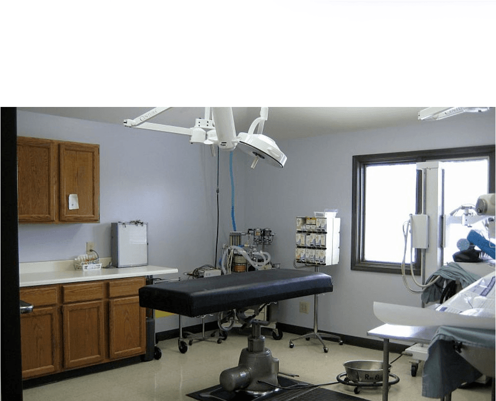 Surgery Room At Fort Wayne Animal Hospital - Interior Design Clipart (1002x1024), Png Download