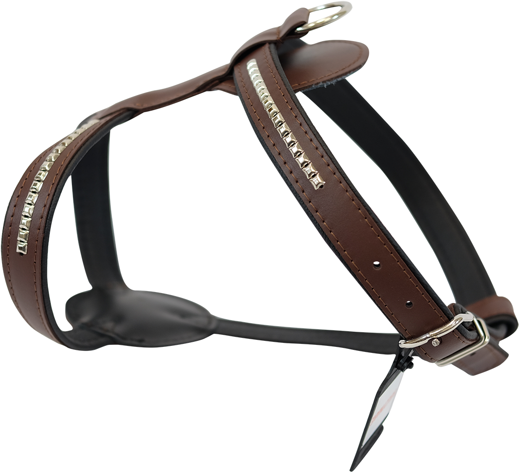 Prev - Horse Harness Png Clipart (1600x1067), Png Download