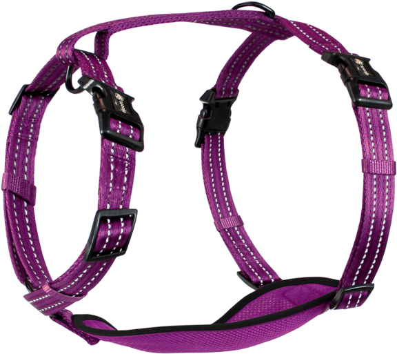 Alcott Clipart (600x542), Png Download