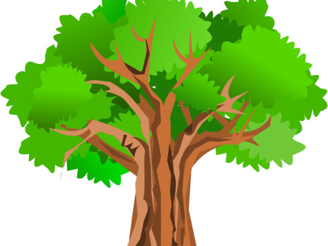 Banyan Tree Clipart Pokok - Tree Clipart Hd - Png Download (640x480), Png Download
