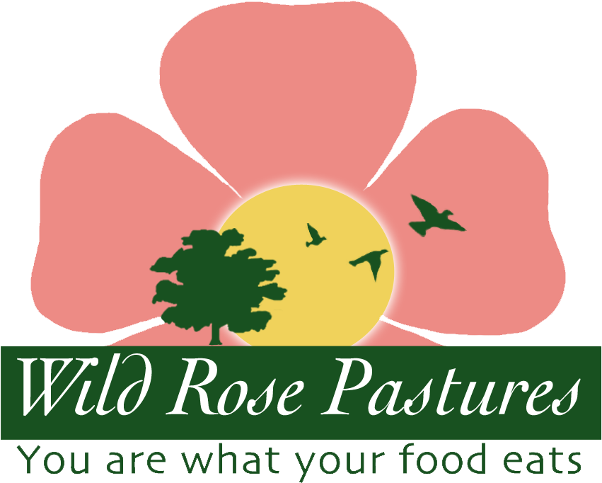 Clip Art - Png Download (878x736), Png Download