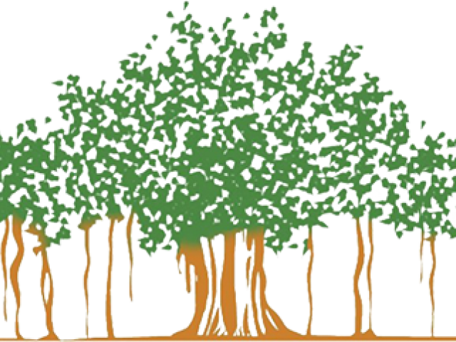Banyan Tree Clipart Huge Tree - Banyan Tree Clipart Png Transparent Png (640x480), Png Download
