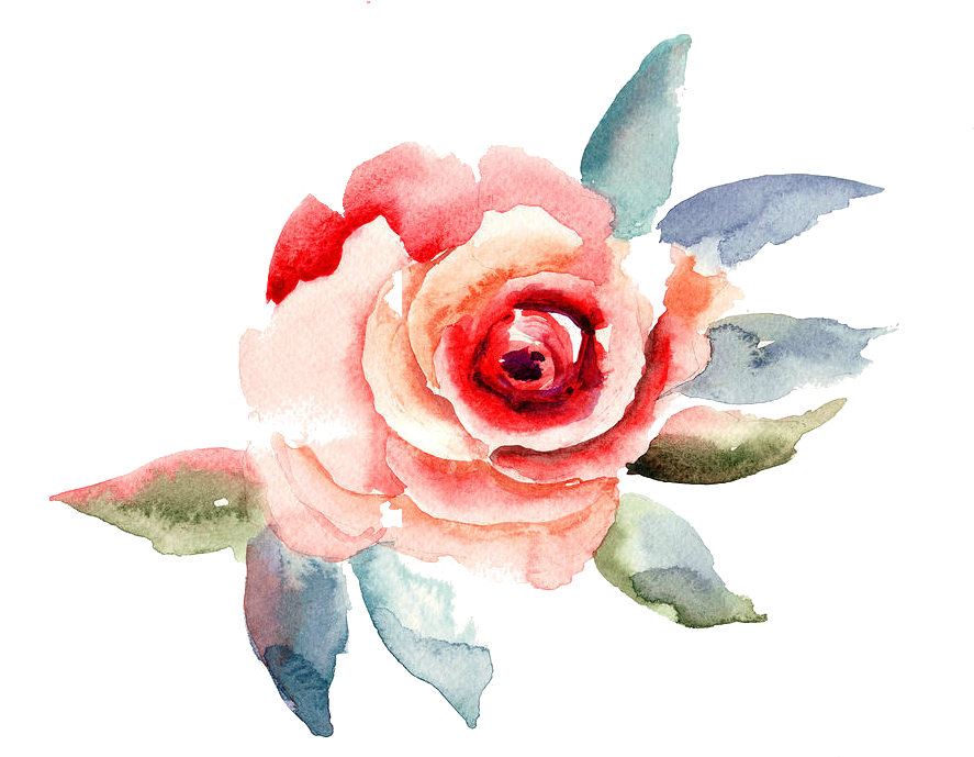 Travelling To Infinity - Flowers Illustration Clipart (887x689), Png Download