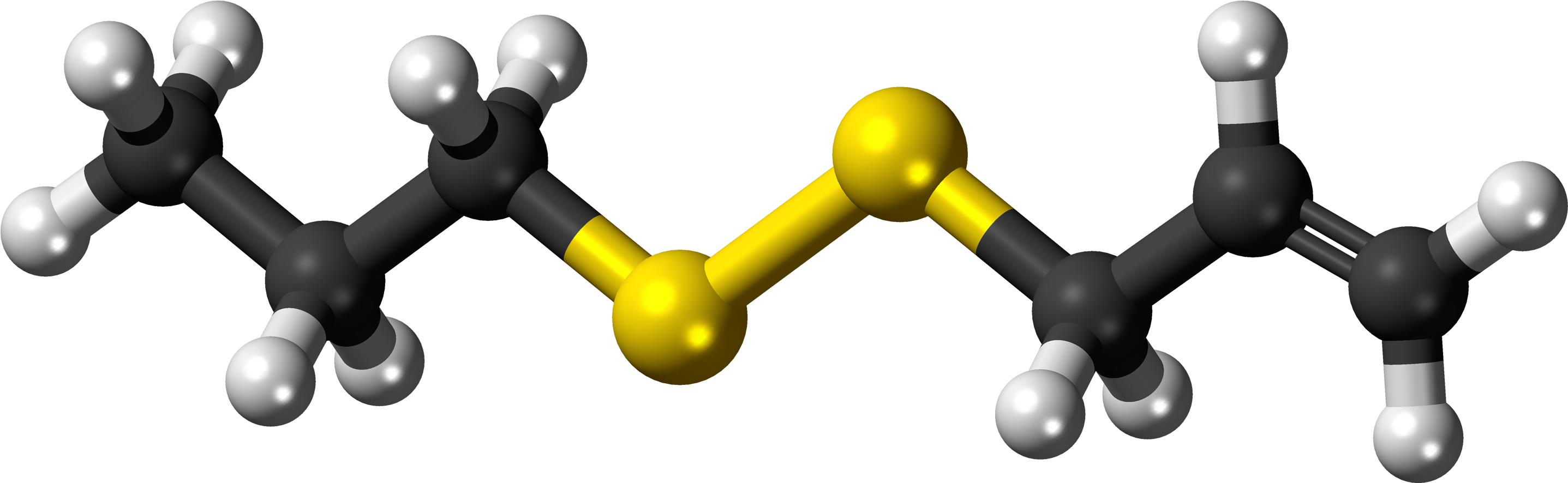 Allyl Propyl Disulfide 3d Ball - 1 2 Dichloropropane Model Clipart (2988x1000), Png Download