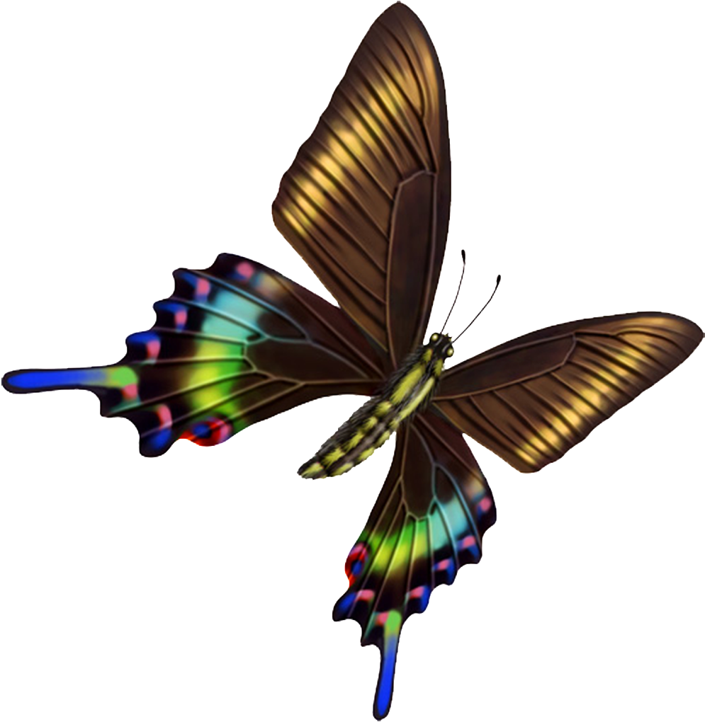 Hd Beautiful Colorful Butterfly Png - 蝴蝶 Clipart (995x1020), Png Download