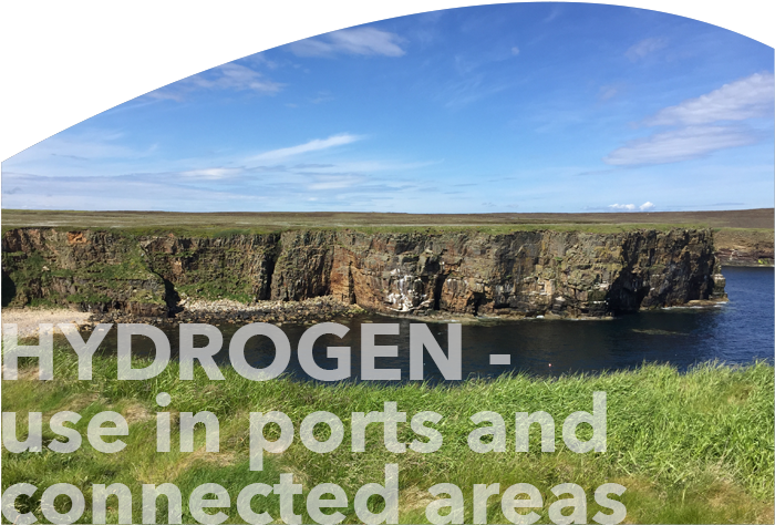 Grass Clipart (699x486), Png Download